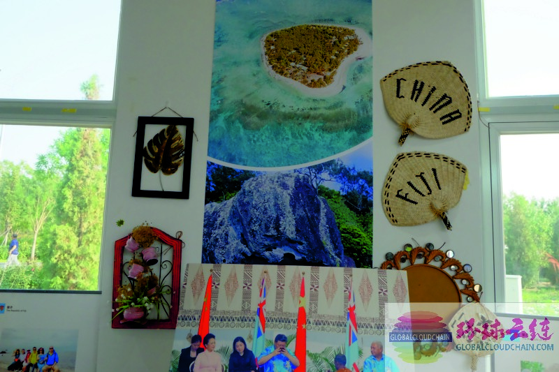 DSCF3971.jpg